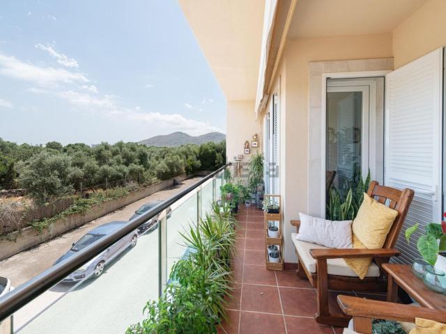Piso, Alcúdia