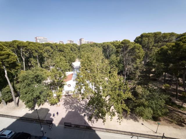 Piso, Albacete