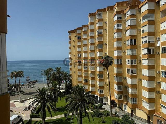 Piso, Algarrobo