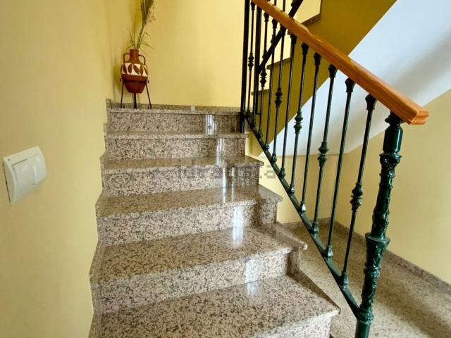 Piso, Algarrobo