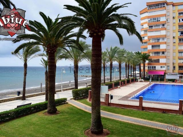 Piso, Algarrobo Costa