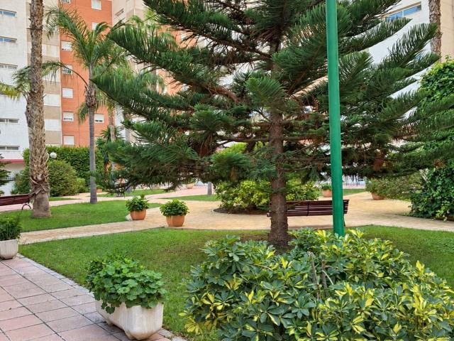 Piso, Alicante Golf, Alicante / Alacant