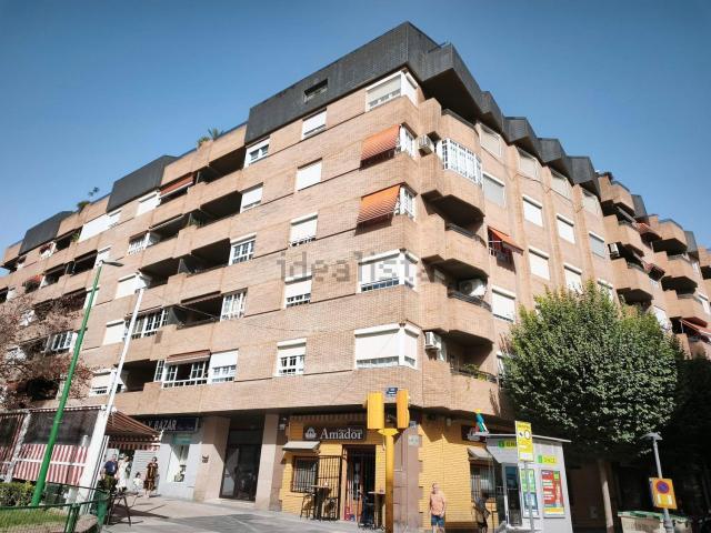 Piso, Almansa