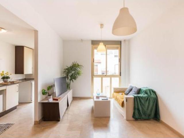 Piso Alquiler Murcia Capital, Juan Carlos I