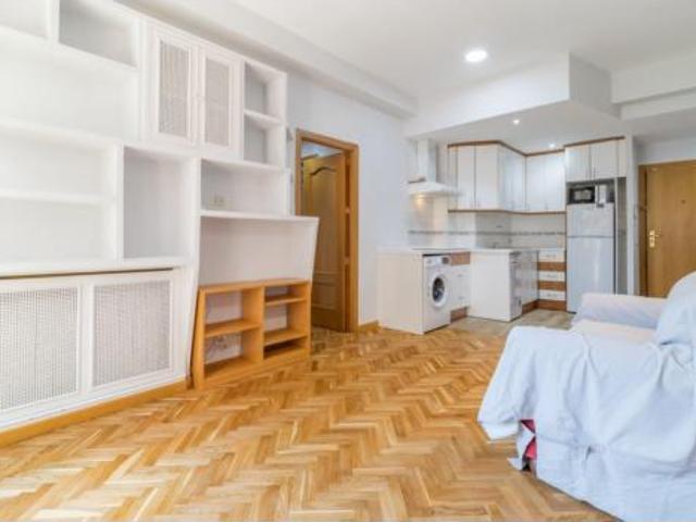 Piso Alquiler Madrid Capital, Castillejos