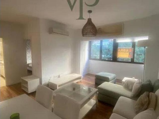 Piso Alquiler Madrid Capital, Castillejos