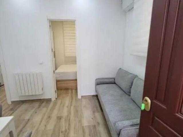 Piso Alquiler Madrid Capital, Sol