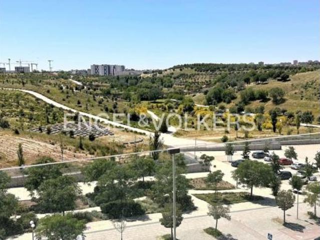 Piso Alquiler Madrid Capital, Valdebebas Valdefuentes