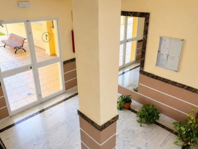 Piso Alquiler Málaga Capital, Cortijo de Maza Finca Monsálvez El Olivar