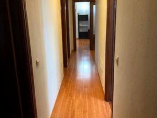 Piso Alquiler Málaga Capital, El Cónsul El Romeral La Colonia Santa Inés