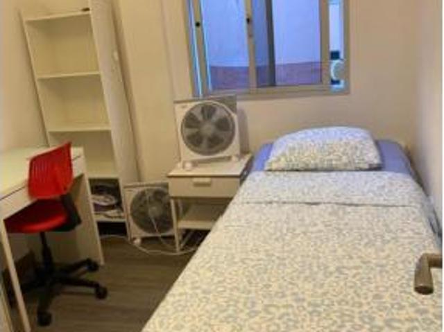 Piso Alquiler Málaga Capital, El Ejido Cristo de la Epidemia Olletas San Miguel
