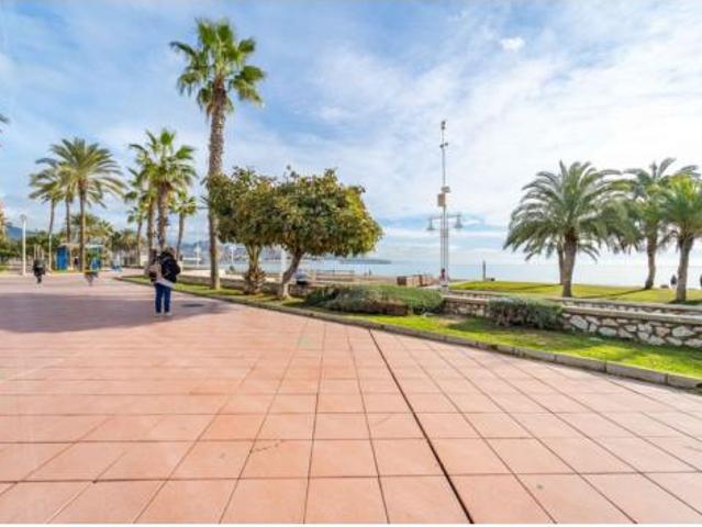 Piso Alquiler Málaga Capital, Huelin La Princesa Jardín de la Abadía