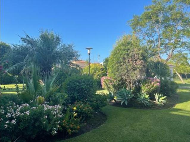 Piso Alquiler Marbella, Nueva Alcántara