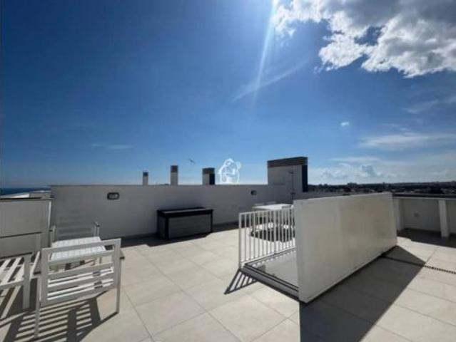 Piso Alquiler Orihuela, Orihuela