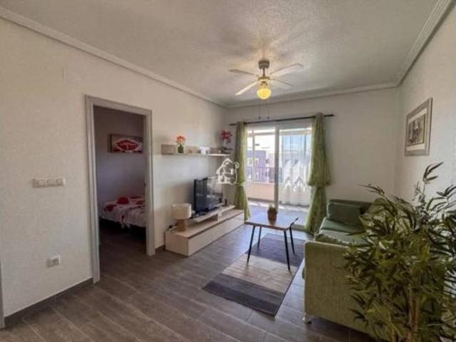 Piso Alquiler Orihuela, Orihuela