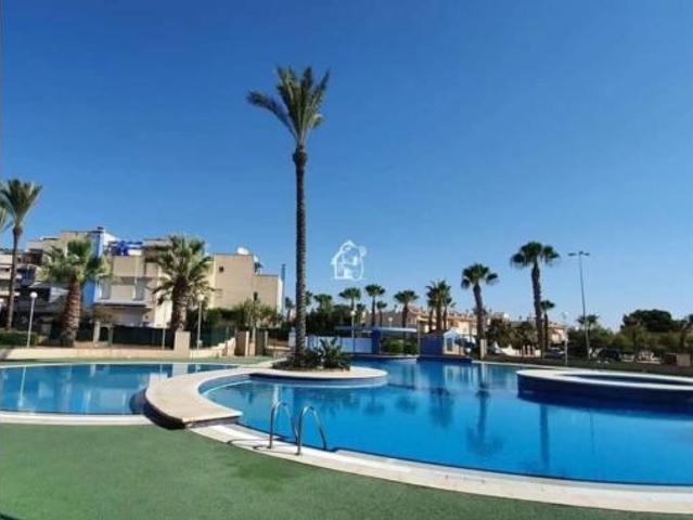 Piso Alquiler Orihuela, Orihuela