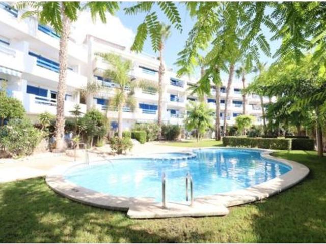 Piso Alquiler Orihuela, Punta Prima Ciñuelica Alameda del Mar