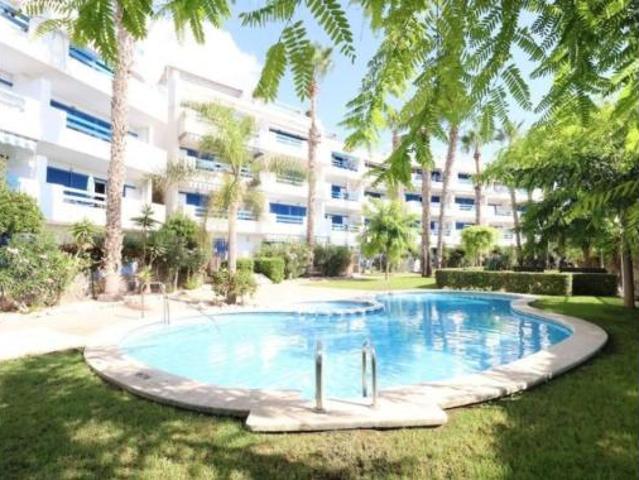 Piso Alquiler Orihuela, Punta Prima Ciñuelica Alameda del Mar