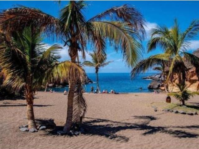 Piso Alquiler Adeje, Callao Salvaje Playa Paraíso Armeñime