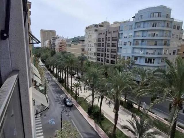 Piso Alquiler Alicante Alacant, Alicante Alacant