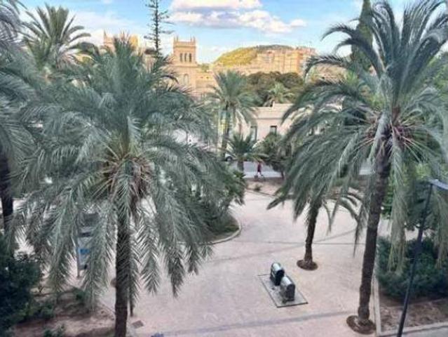 Piso Alquiler Alicante Alacant, Alicante Alacant