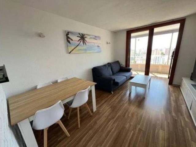 Piso Alquiler Alicante Alacant, Alicante Alacant