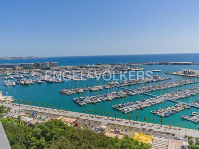 Piso Alquiler Alicante Alacant, Ensanche Diputación