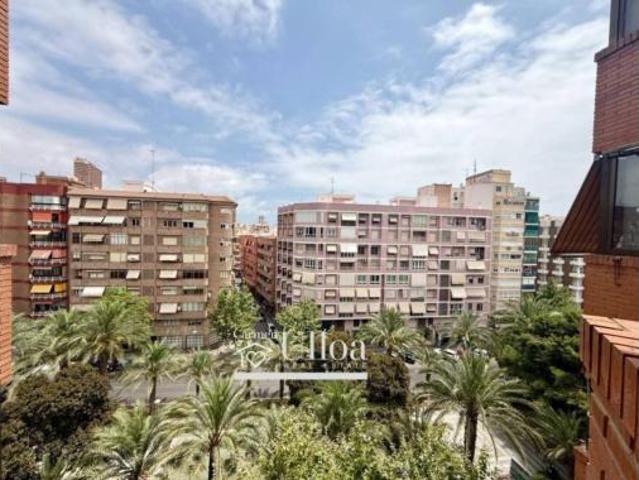 Piso Alquiler Alicante Alacant, Ensanche Diputación
