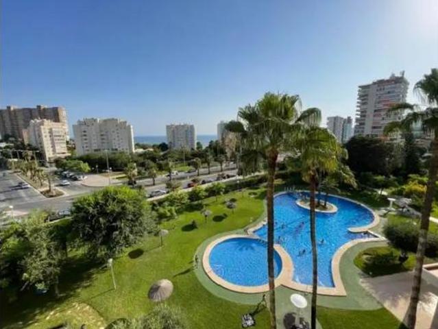 Piso Alquiler Alicante Alacant, L'Albufereta