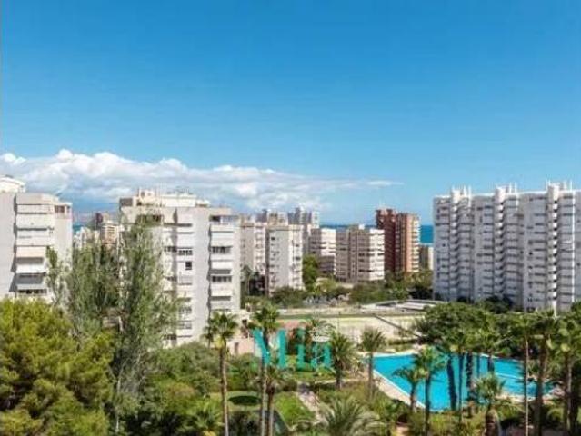 Piso Alquiler Alicante Alacant, L'Albufereta