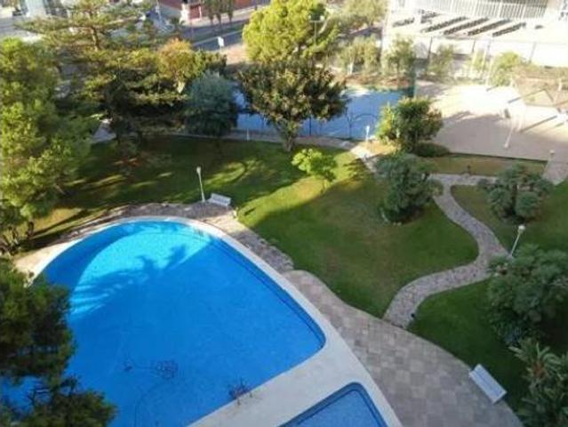 Piso Alquiler Alicante Alacant, L'Albufereta