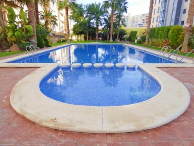 Piso Alquiler Alicante Alacant, Playa de San Juan