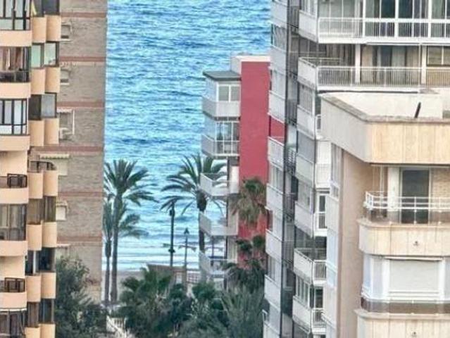 Piso Alquiler Alicante Alacant, Playa de San Juan