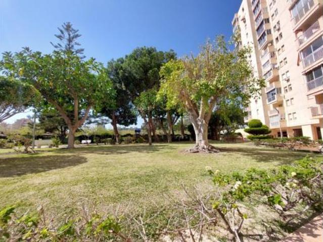 Piso Alquiler Alicante Alacant, Playa de San Juan