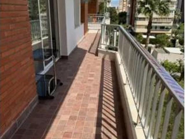 Piso Alquiler Alicante Alacant, Playa de San Juan
