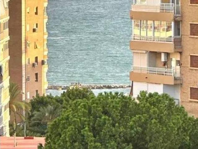 Piso Alquiler Alicante Alacant, L'Albufereta