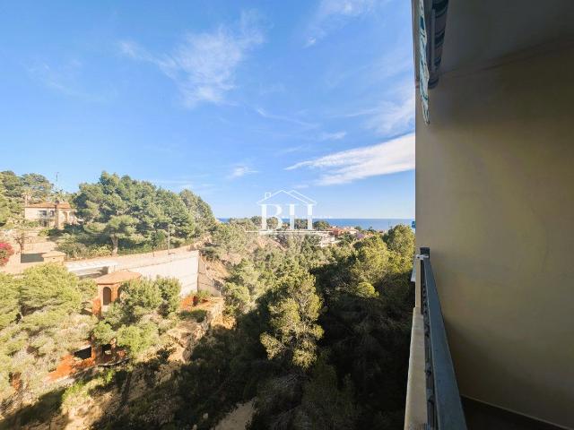 Piso Alquiler Alicante