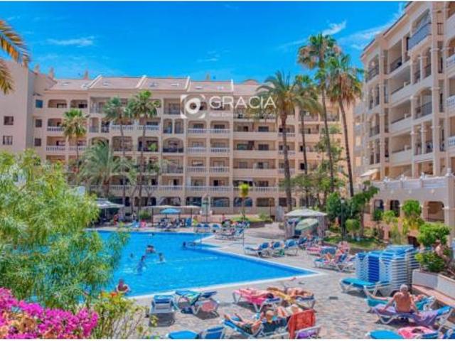 Piso Alquiler Arona, Los Cristianos