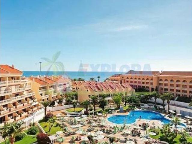 Piso Alquiler Arona, Playa de Las Américas
