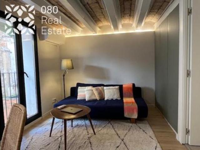 Piso Alquiler Barcelona Capital, El Raval