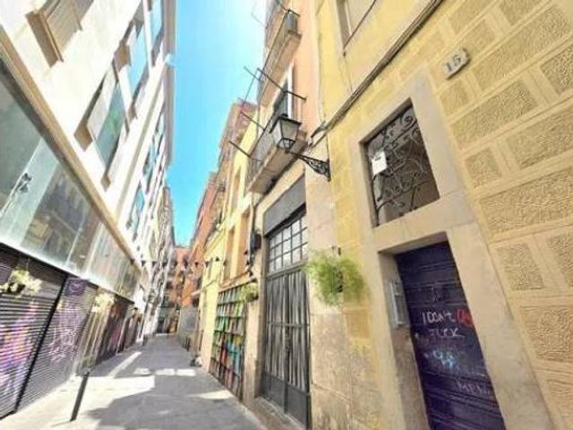Piso Alquiler Barcelona Capital, El Raval