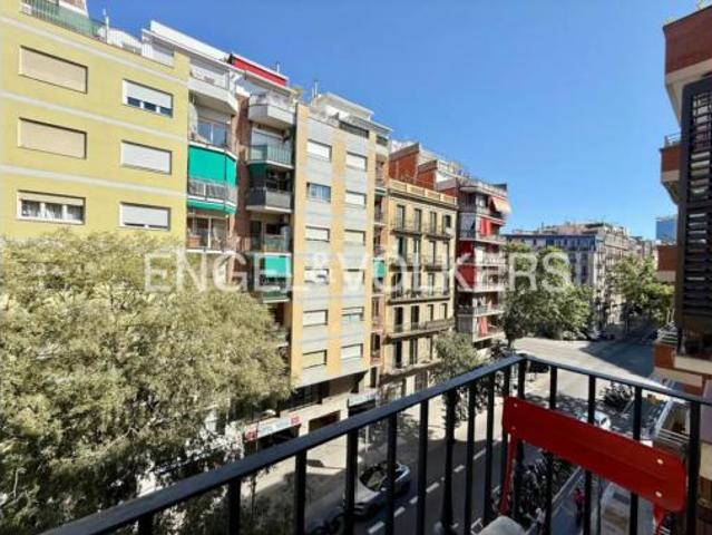 Piso Alquiler Barcelona Capital, La Nova Esquerra de l'Eixample