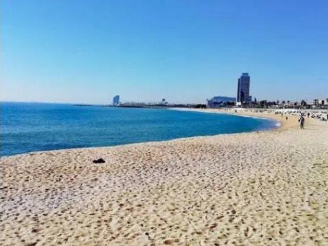 Piso Alquiler Barcelona Capital, La Vila Olímpica del Poblenou