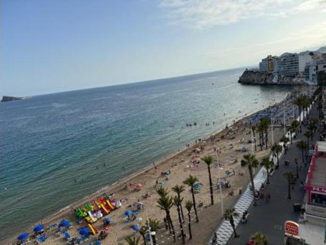 Piso Alquiler Benidorm, Platja de Llevant