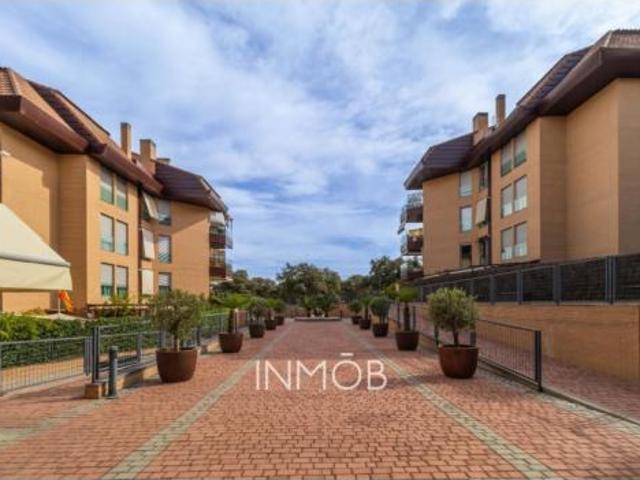 Piso Alquiler Boadilla del Monte, Valdepastores Pino Centinela Las Encinas