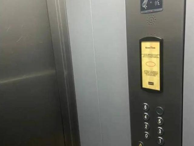 Piso Alquiler Borriana Burriana, Zona Platges