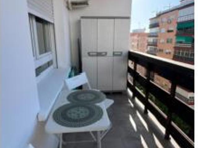 Piso Alquiler Cádiz Capital, San José Varela La Laguna