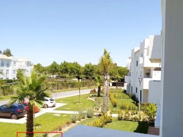 Rota, Cádiz, Andalucía, Andalucía - Jardín