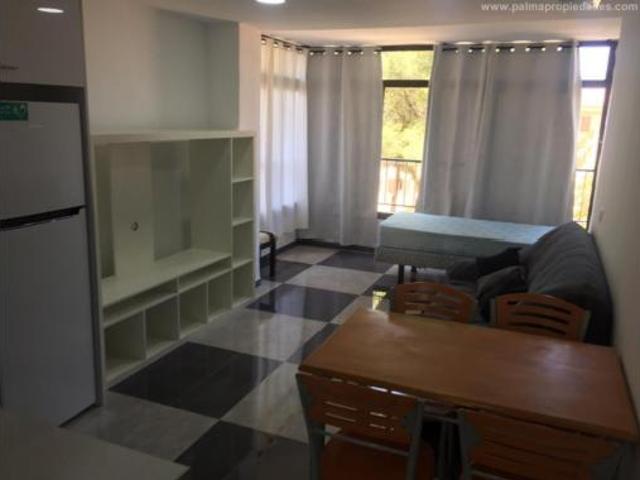 Piso Alquiler Calvià, Magaluf