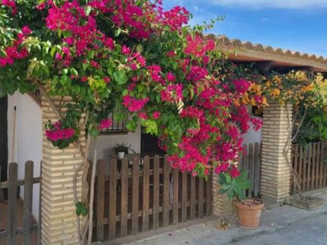 Piso Alquiler Conil de la Frontera, Barrio Nuevo